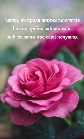 Троянди