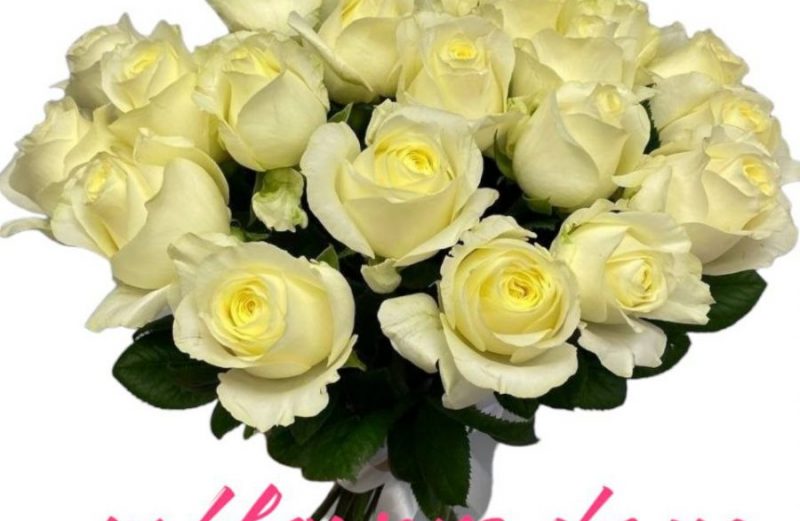 Біла троянда “Іванка”